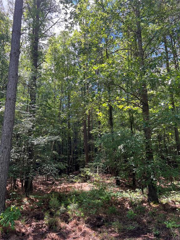 00 County Road 4223 Property Photo 28