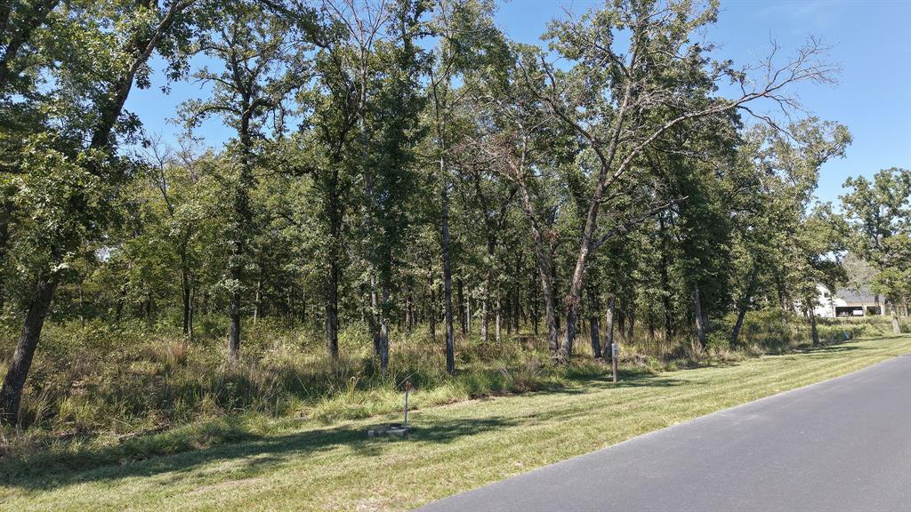 6923 Lakeshore Way Property Photo 3