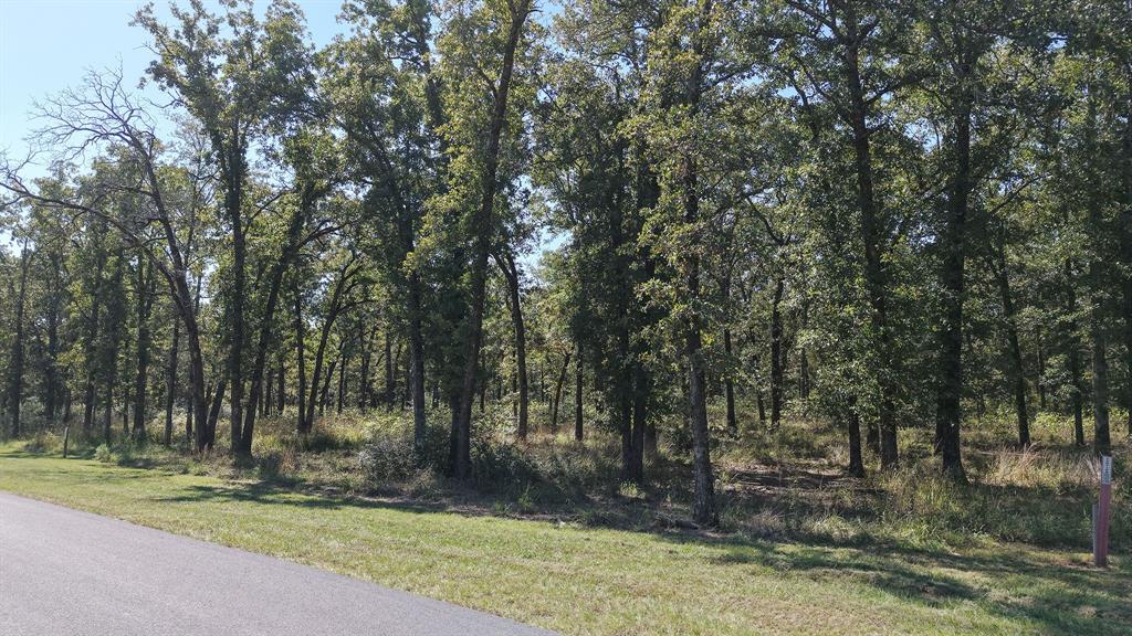 6923 Lakeshore Way Property Photo 4