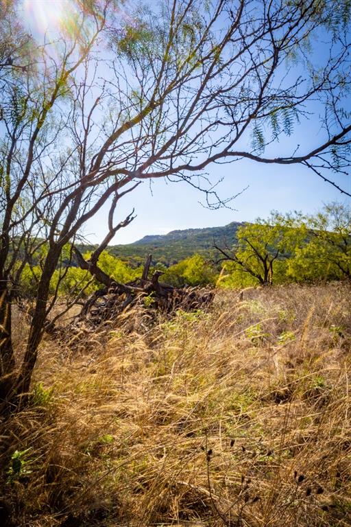 2024 Jesses Run Road Property Photo 21