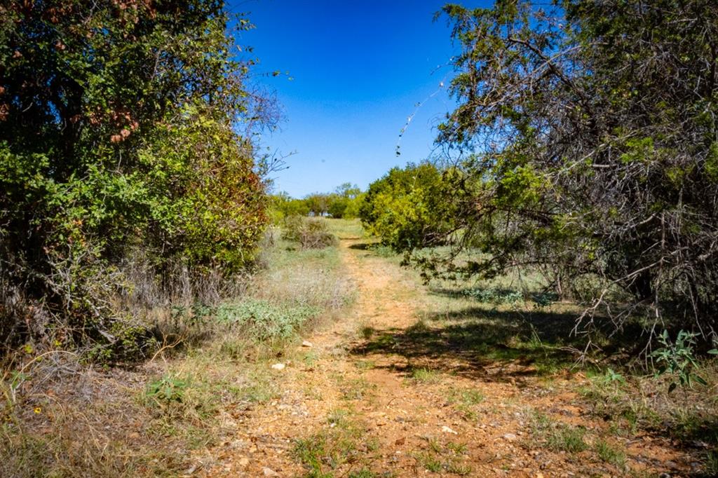 2024 Jesses Run Road Property Photo 22