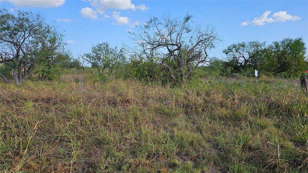 000 Fm Rd 1392 Property Photo 4