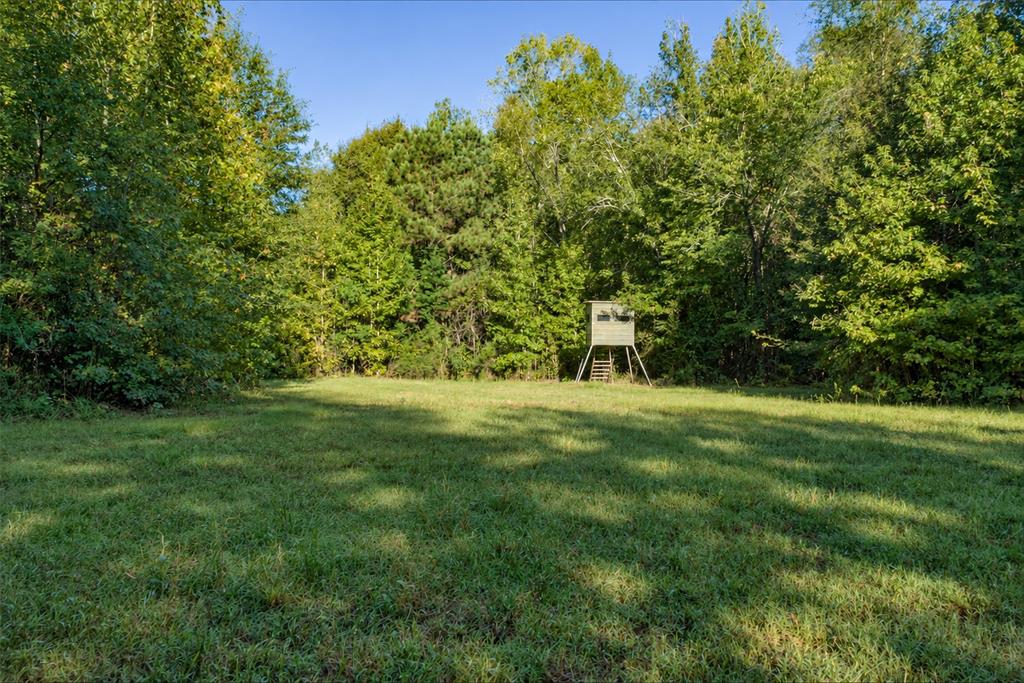 289 County Road 1631 Property Photo 5