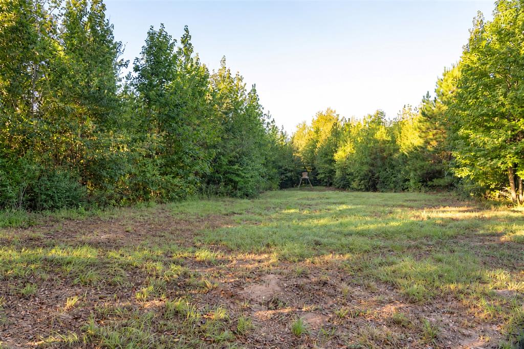 289 County Road 1631 Property Photo 37