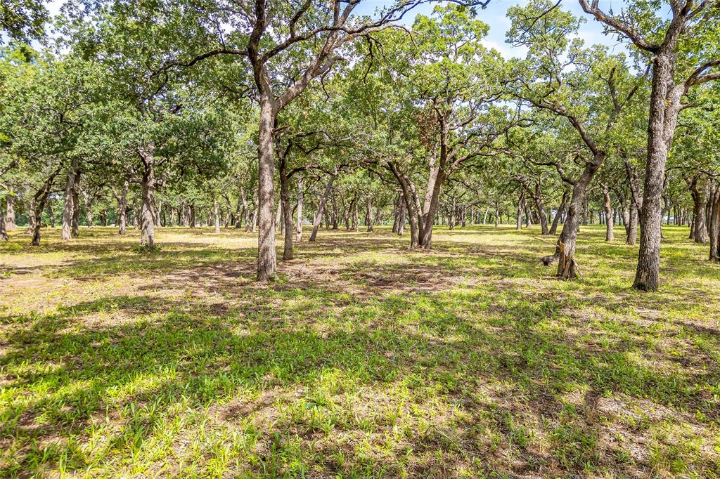 Lot 4 Tbd Orchard Road Property Photo 5