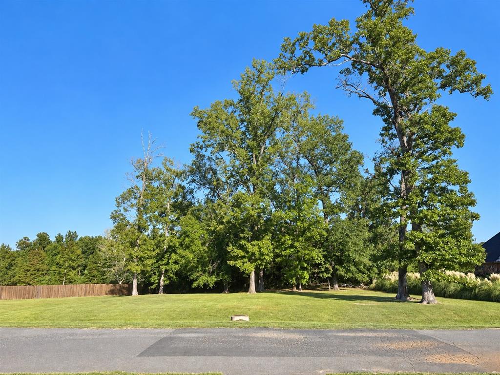 1119 Bear Creek Property Photo 1