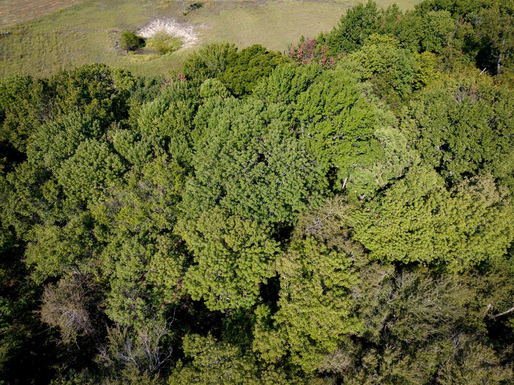 Tbd County Road 568 Property Photo 4