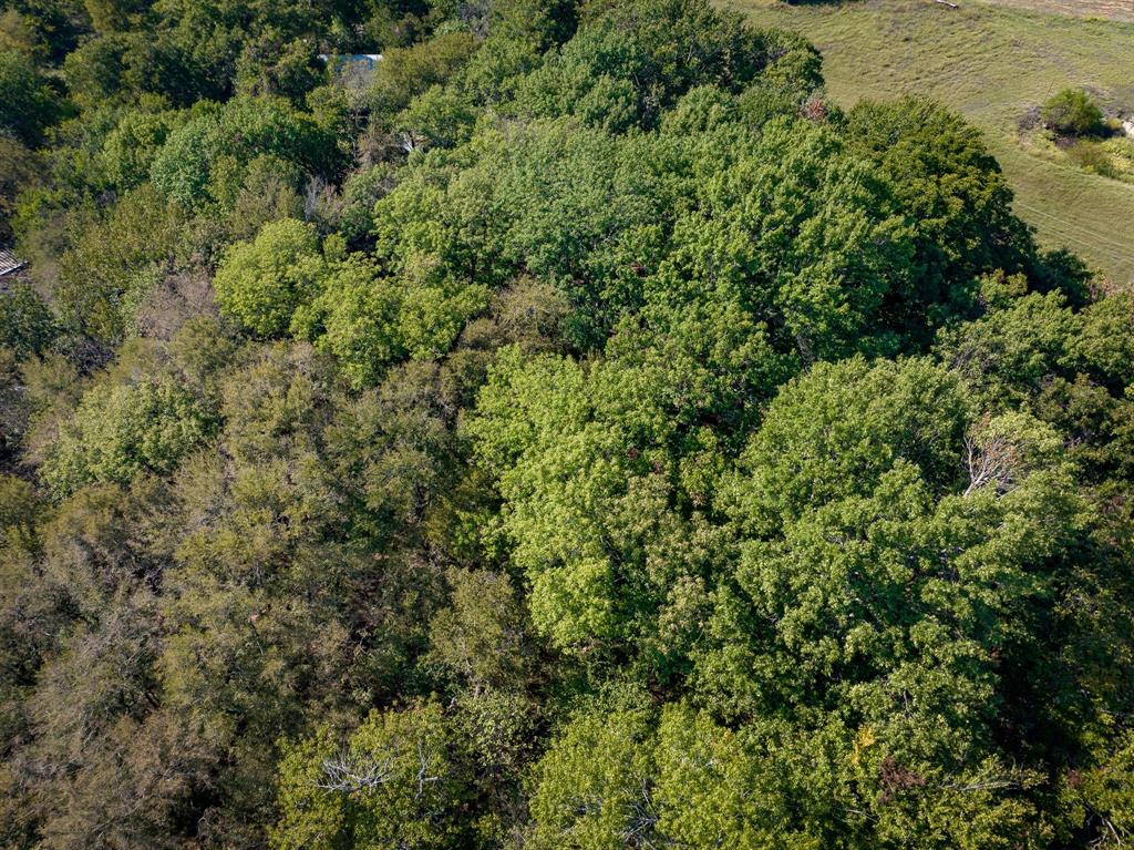 Tbd County Road 568 Property Photo 5