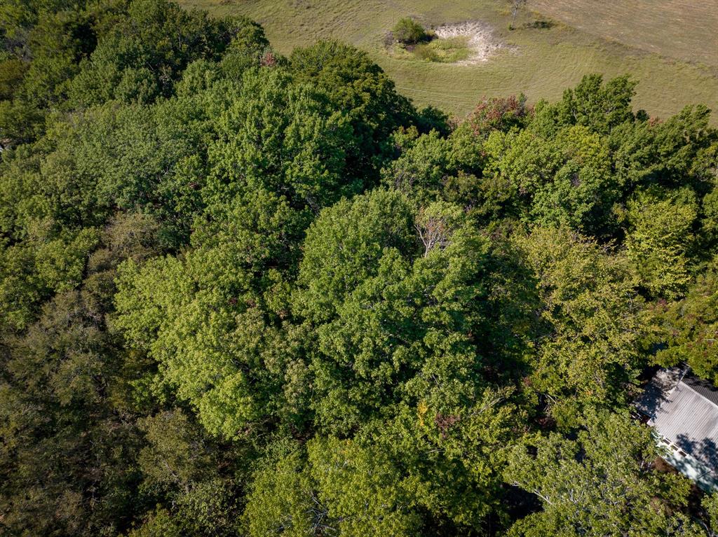 Tbd County Road 568 Property Photo 6