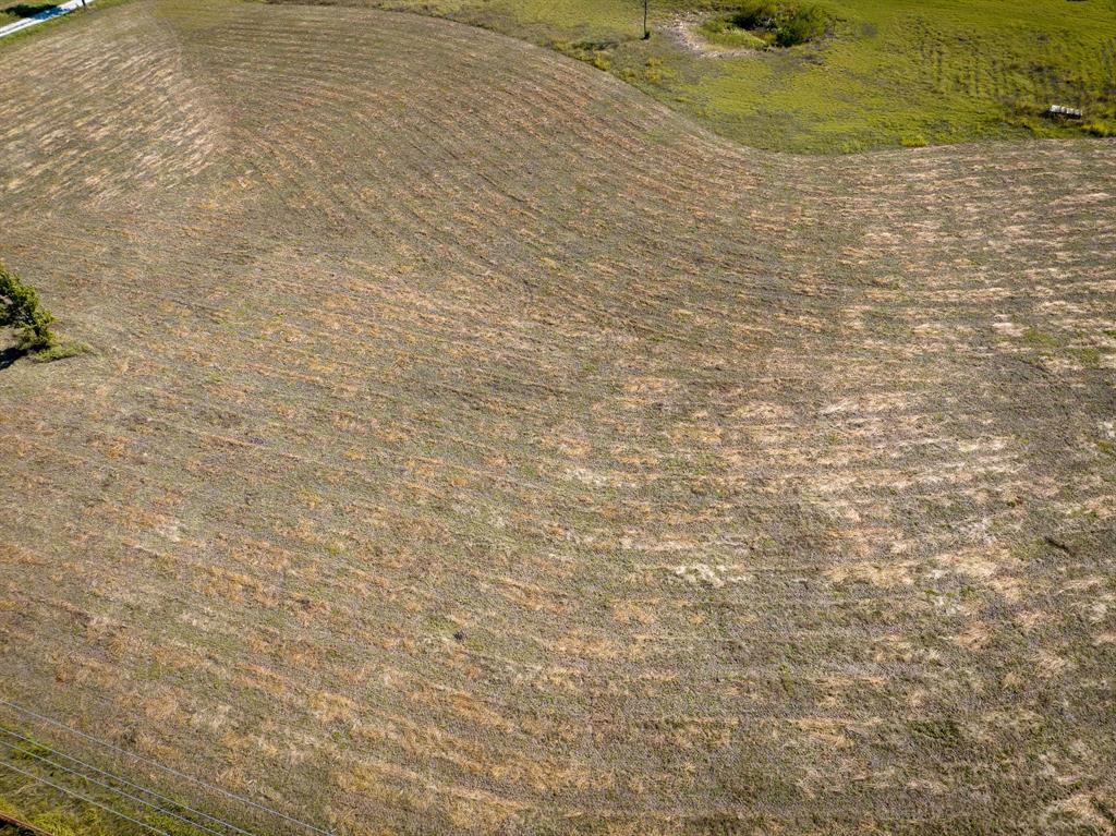 Tbd County Road 568 Property Photo 9