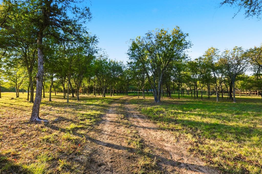 2401 Bear Creek Road Estate 2 Property Photo 7