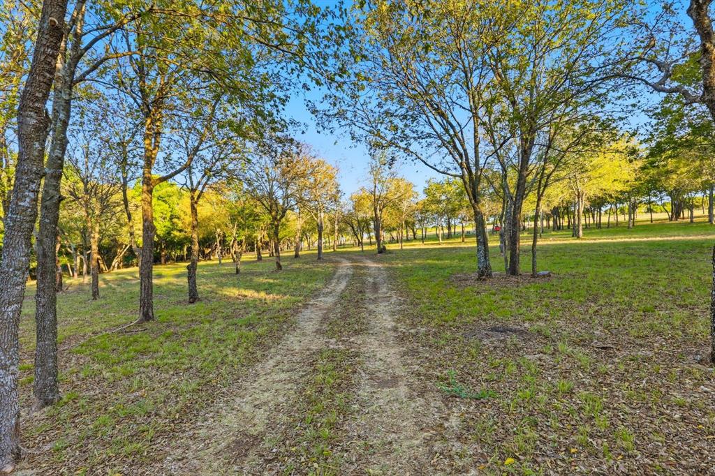 2401 Bear Creek Road Estate 2 Property Photo 8