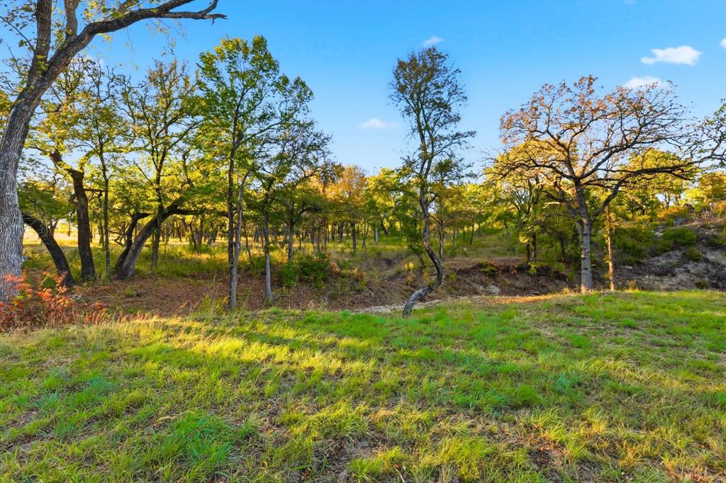 2401 Bear Creek Road Estate 2 Property Photo 13