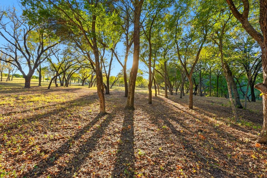 2401 Bear Creek Road Estate 2 Property Photo 18