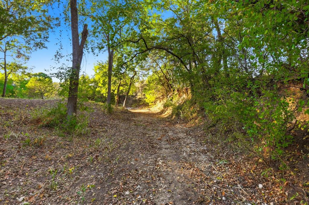 2401 Bear Creek Road Estate 2 Property Photo 19
