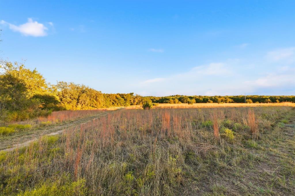 2401 Bear Creek Road Estate 1 Property Photo 11