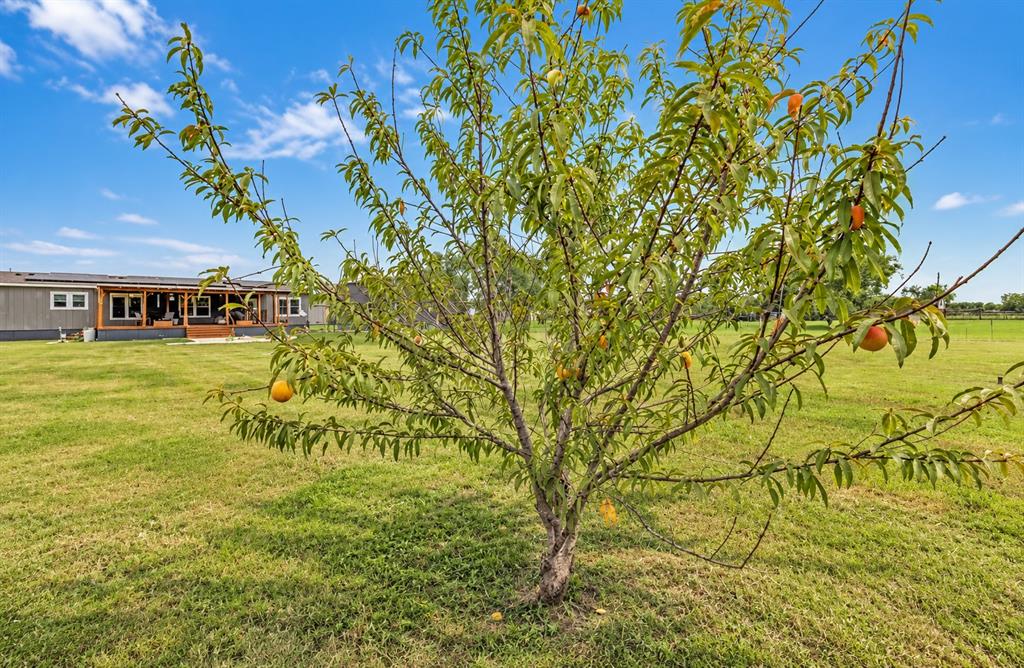 213 River Front Drive Property Photo 27