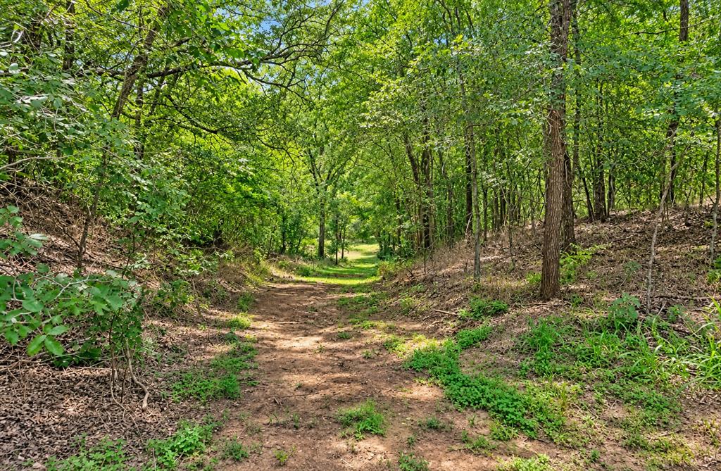 213 River Front Drive Property Photo 30