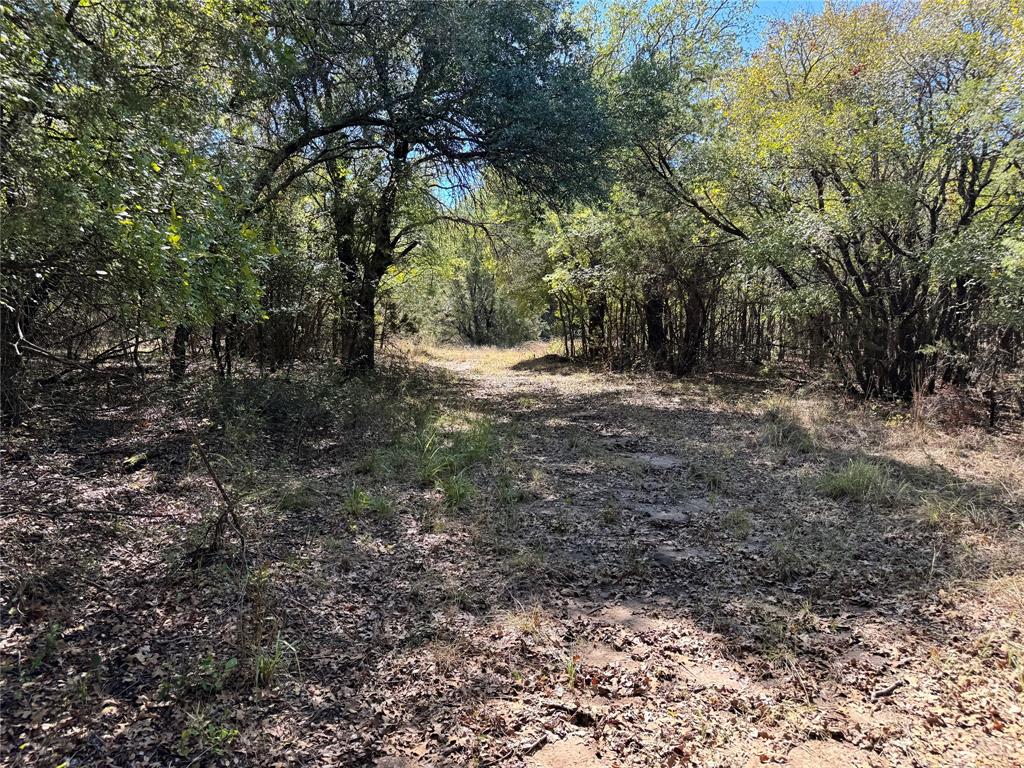 3707 Bob White Court Property Photo 19
