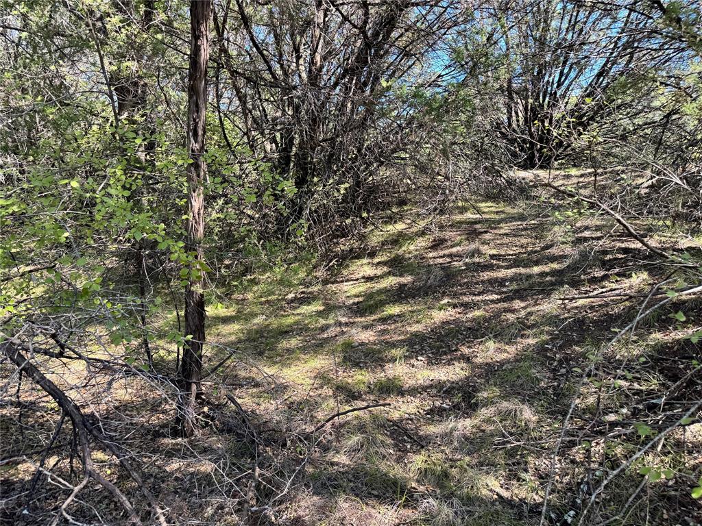 3707 Bob White Court Property Photo 20