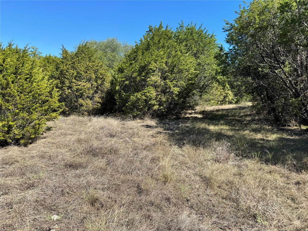3707 Bob White Court Property Photo 24