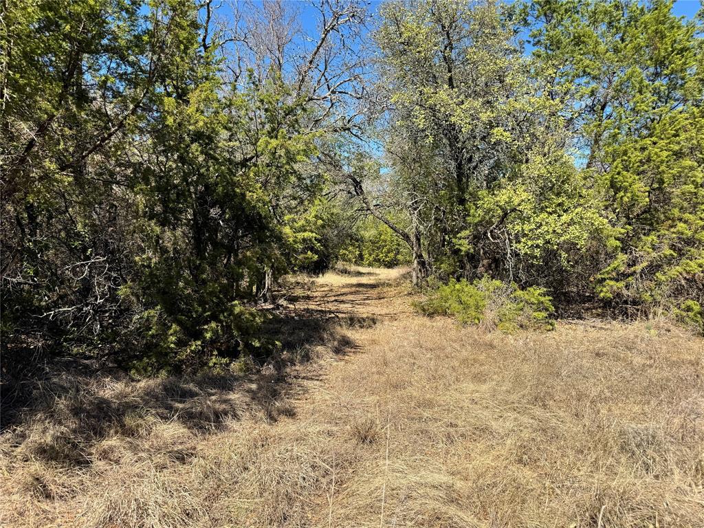 3707 Bob White Court Property Photo 28