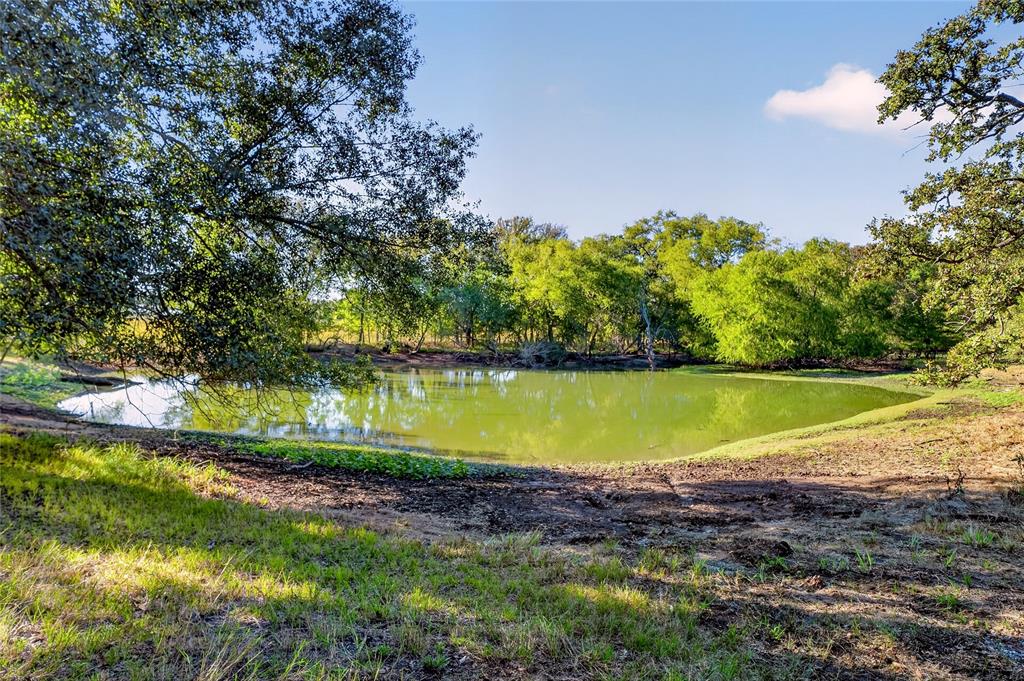 1747 Willie Dennis Road Property Photo 15