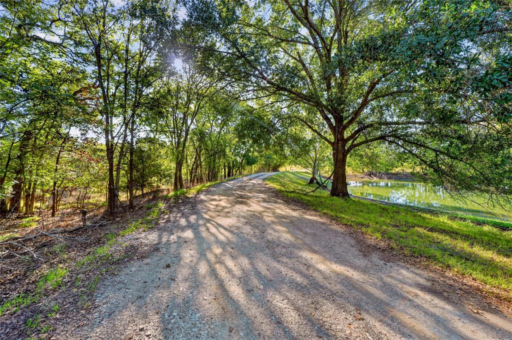 1747 Willie Dennis Road Property Photo 17