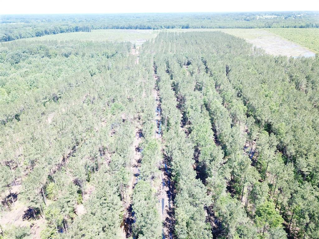 Off Cr 4290 Property Photo 1