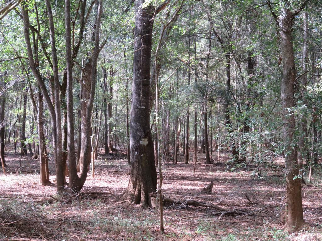 9795 Highway 59 Property Photo 2