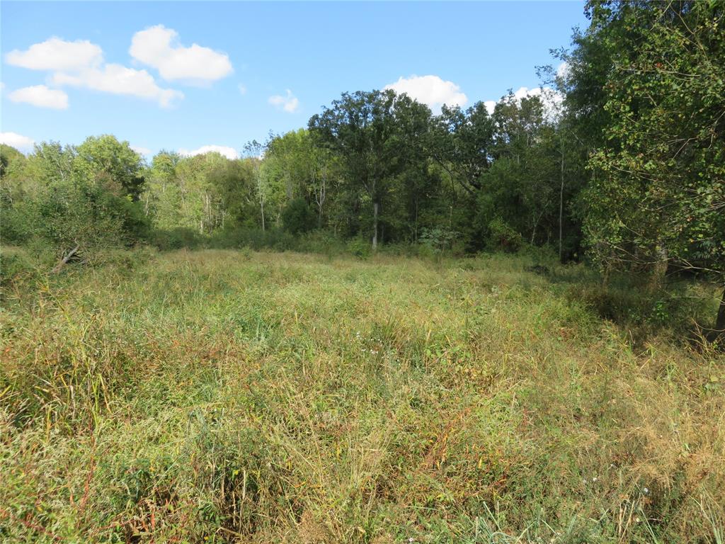 9795 Highway 59 Property Photo 3