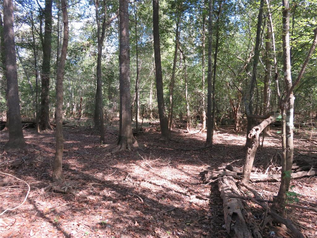 9795 Highway 59 Property Photo 5