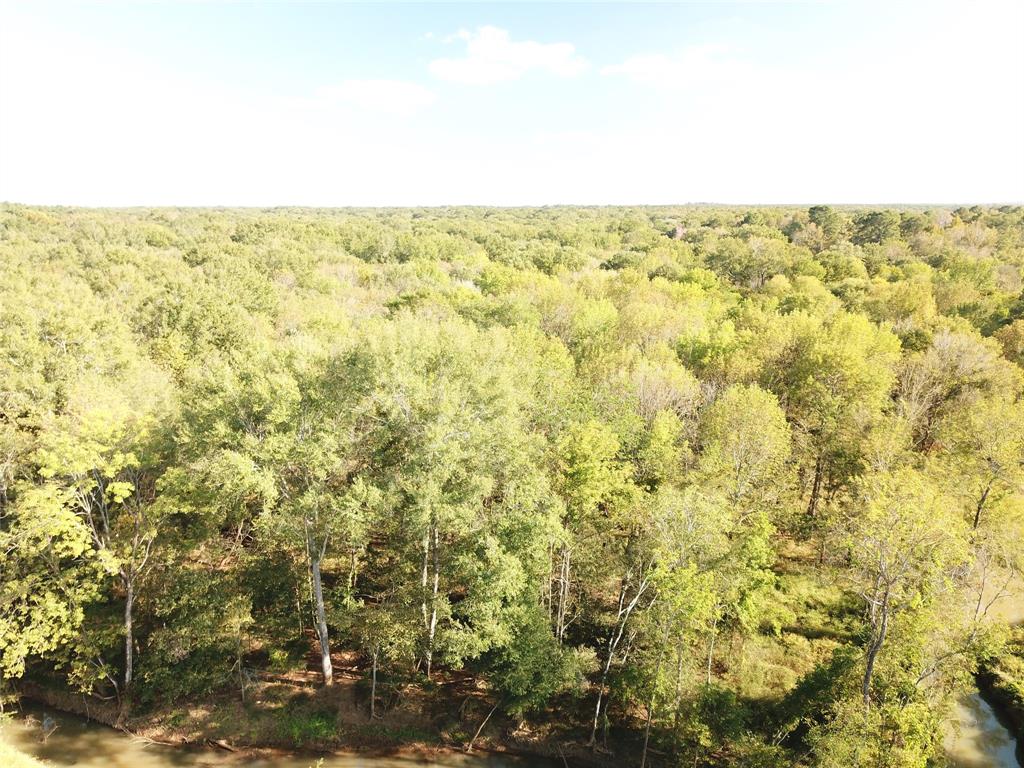 9795 Highway 59 Property Photo 6