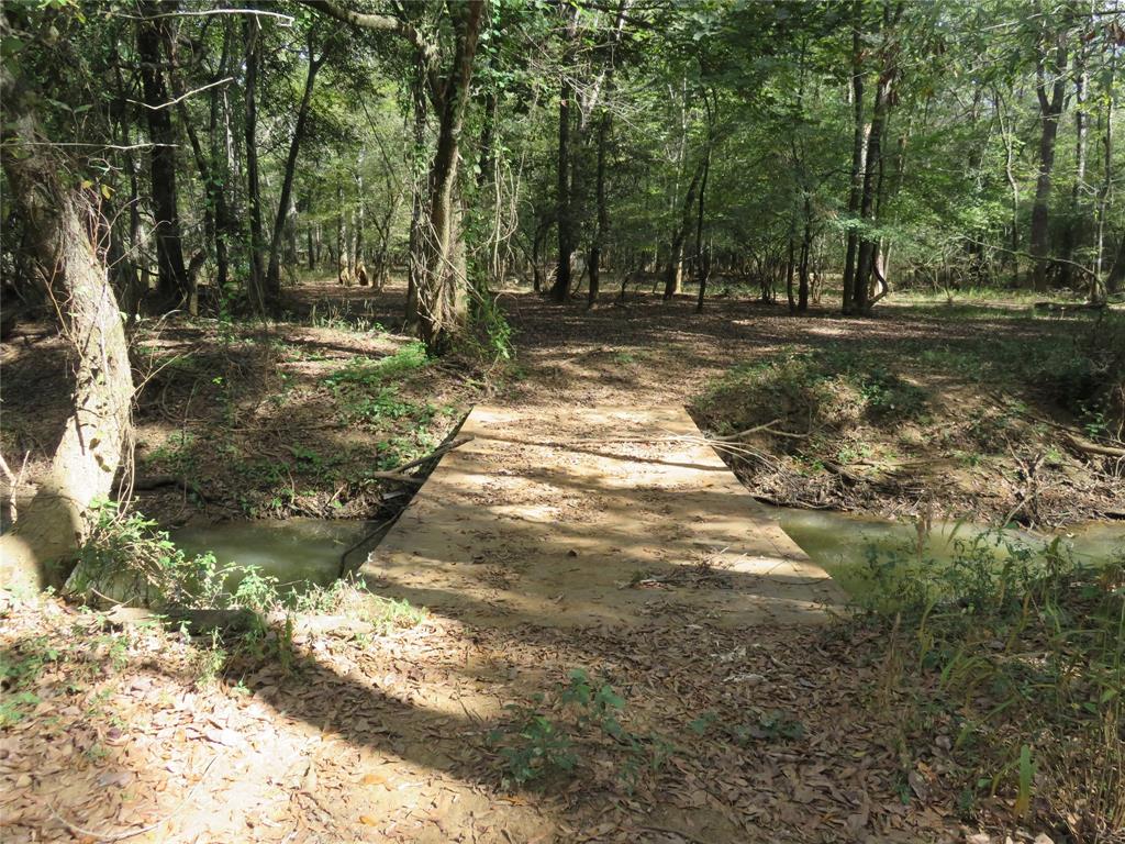 9795 Highway 59 Property Photo 8