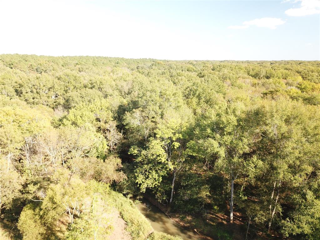 9795 Highway 59 Property Photo 9