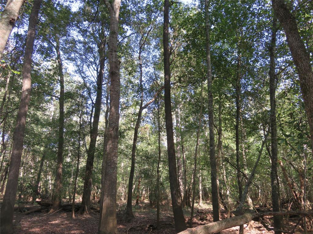 9795 Highway 59 Property Photo 11
