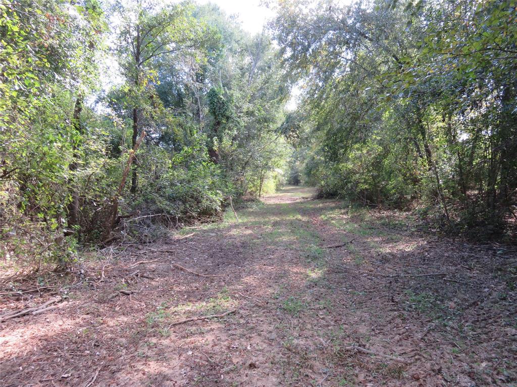9795 Highway 59 Property Photo 12