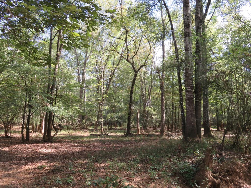 9795 Highway 59 Property Photo 15