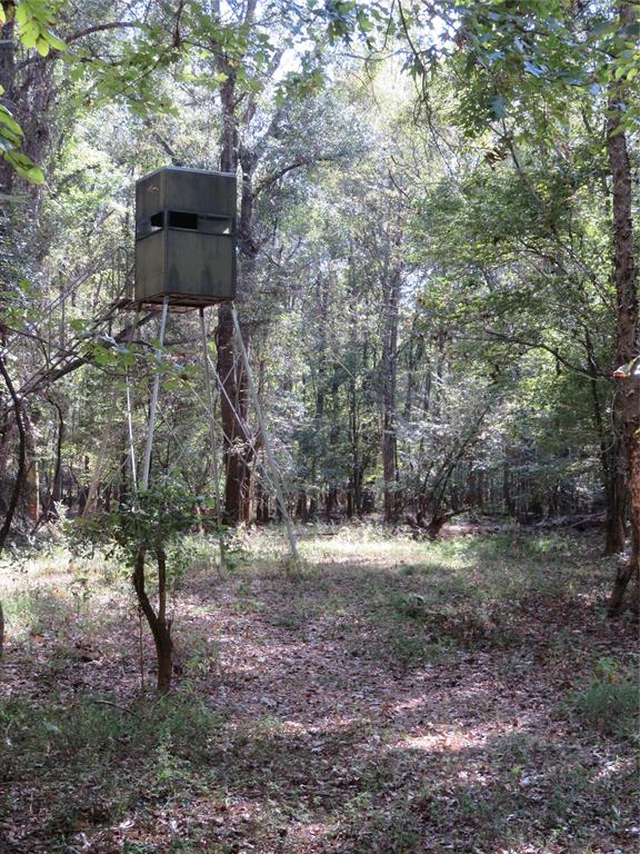 9795 Highway 59 Property Photo 18