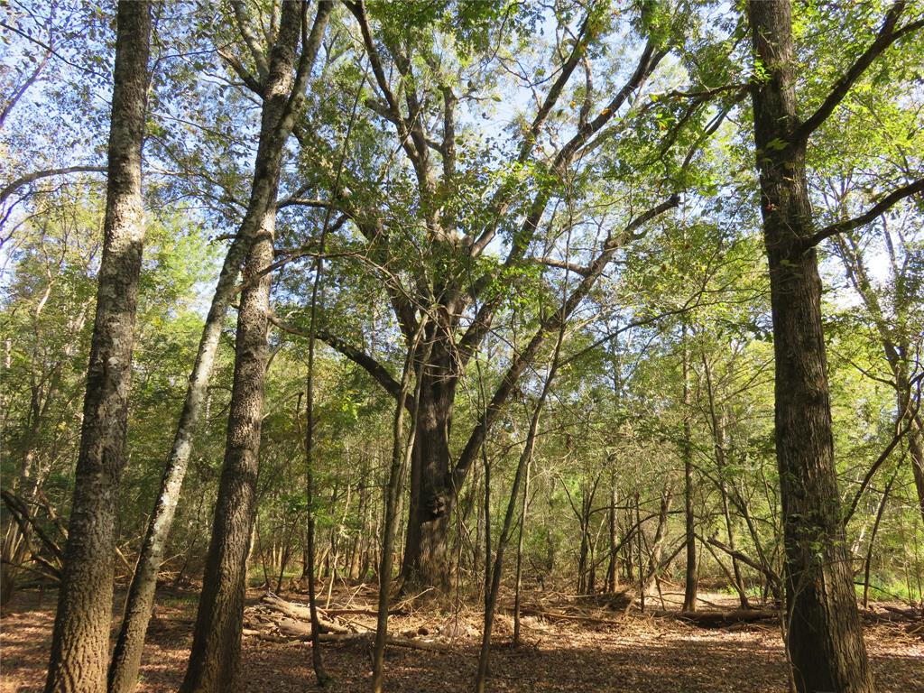 9795 Highway 59 Property Photo 22