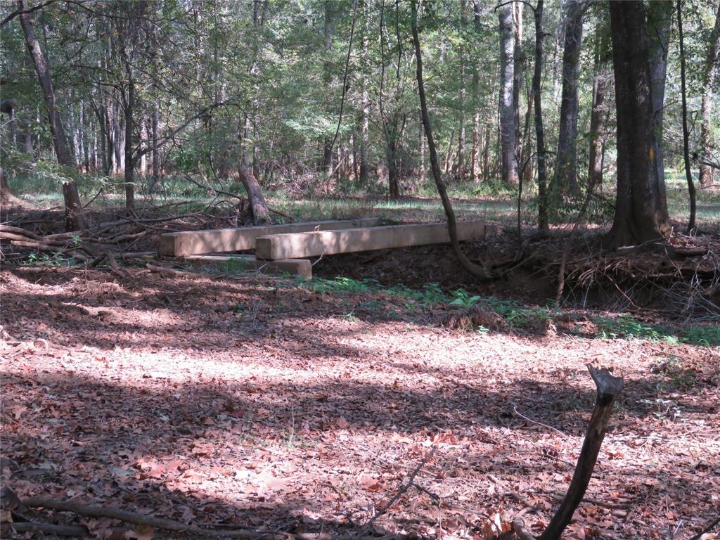 9795 Highway 59 Property Photo 24