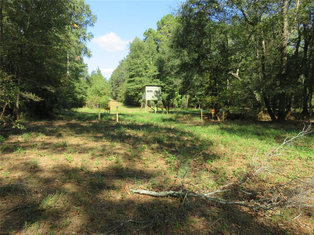 9795 Highway 59 Property Photo 25