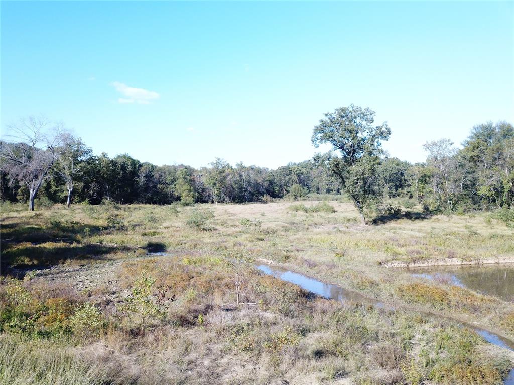 9795 Highway 59 Property Photo 26
