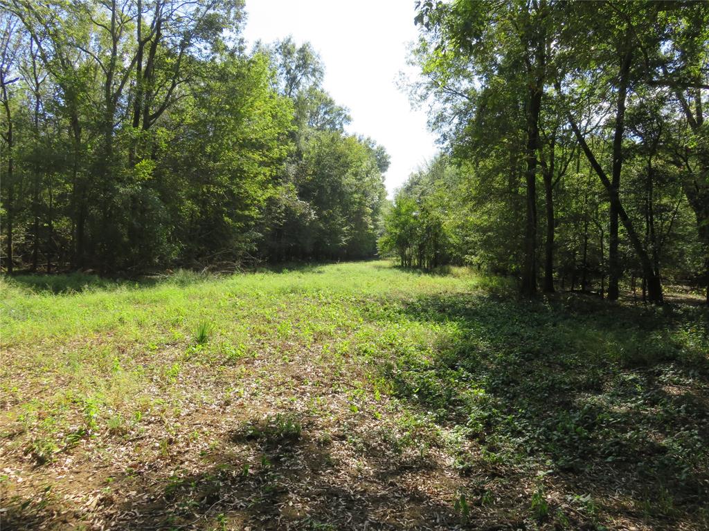 9795 Highway 59 Property Photo 27