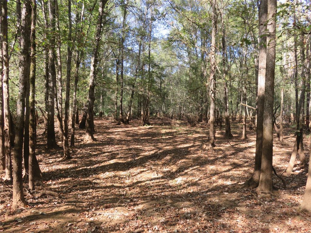 9795 Highway 59 Property Photo 28