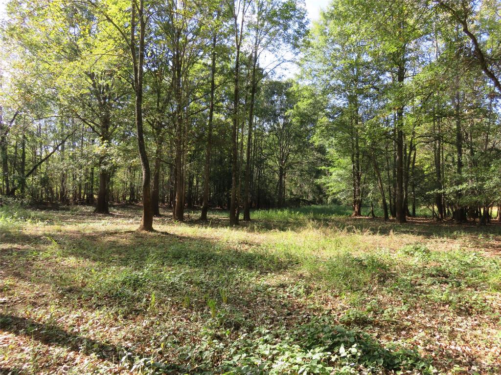 9795 Highway 59 Property Photo 29