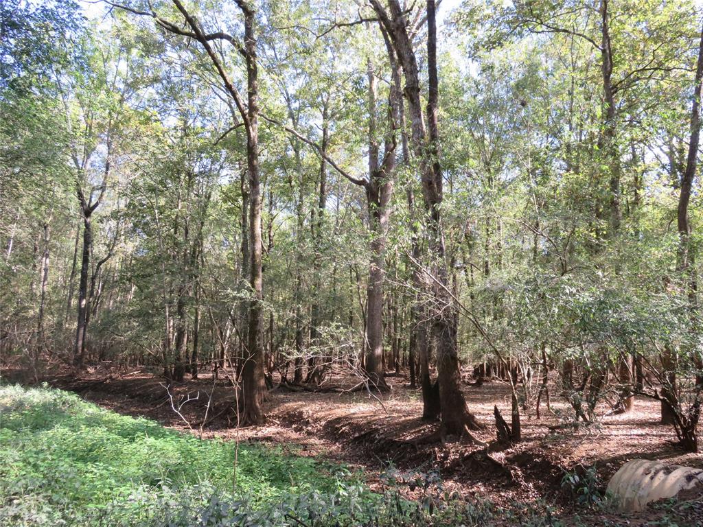9795 Highway 59 Property Photo 30