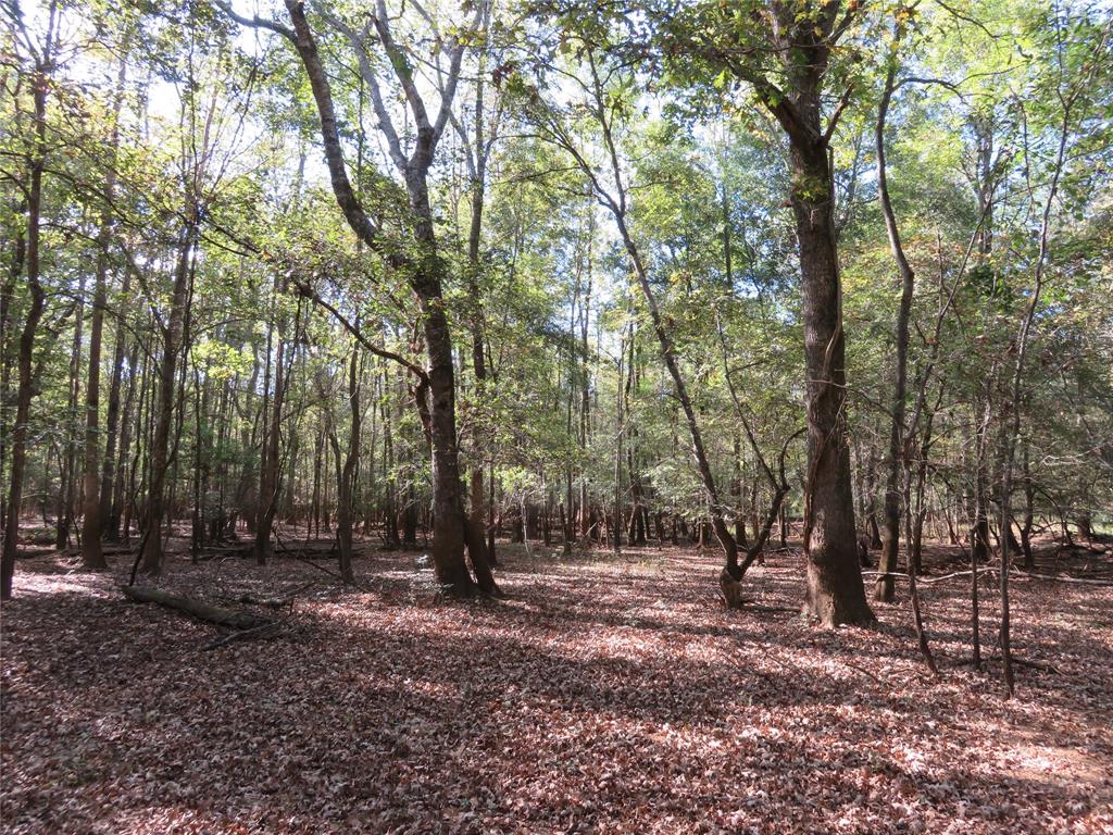 9795 Highway 59 Property Photo 31