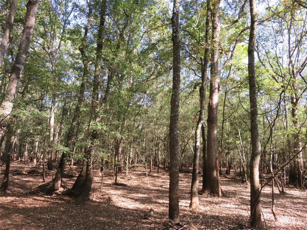 9795 Highway 59 Property Photo 32