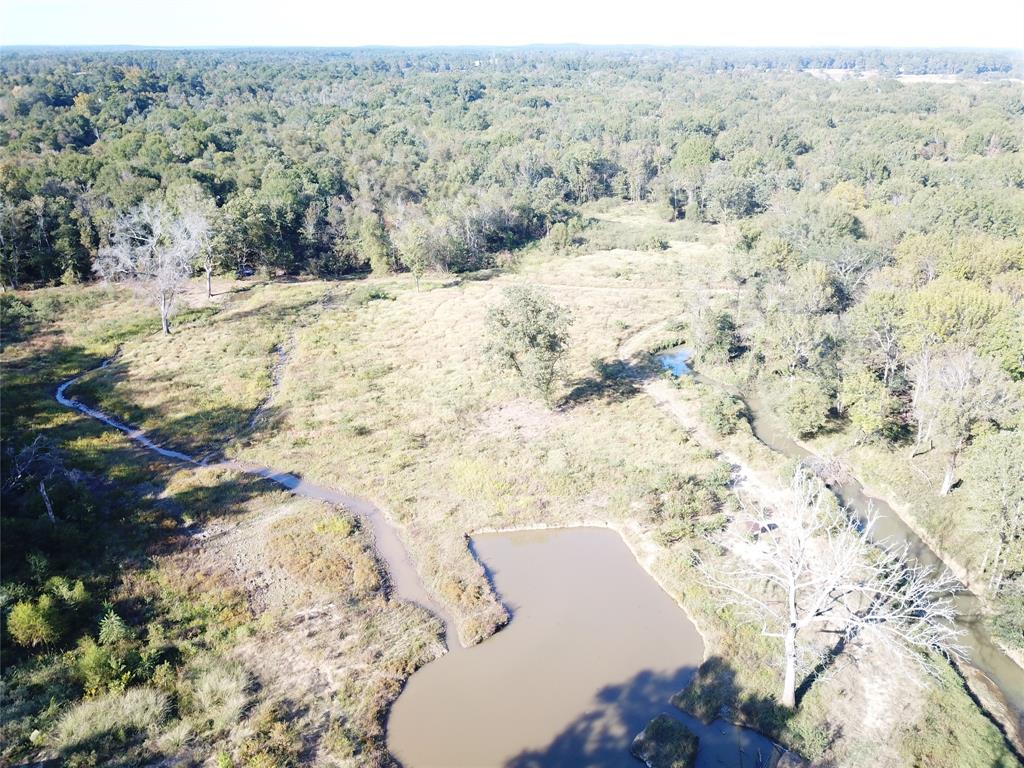 9795 Highway 59 Property Photo 35
